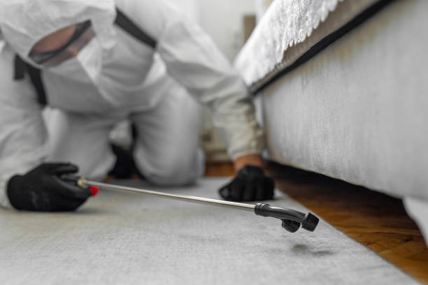 Professional Bed Bug Control technician working in Martins Ferry, OH